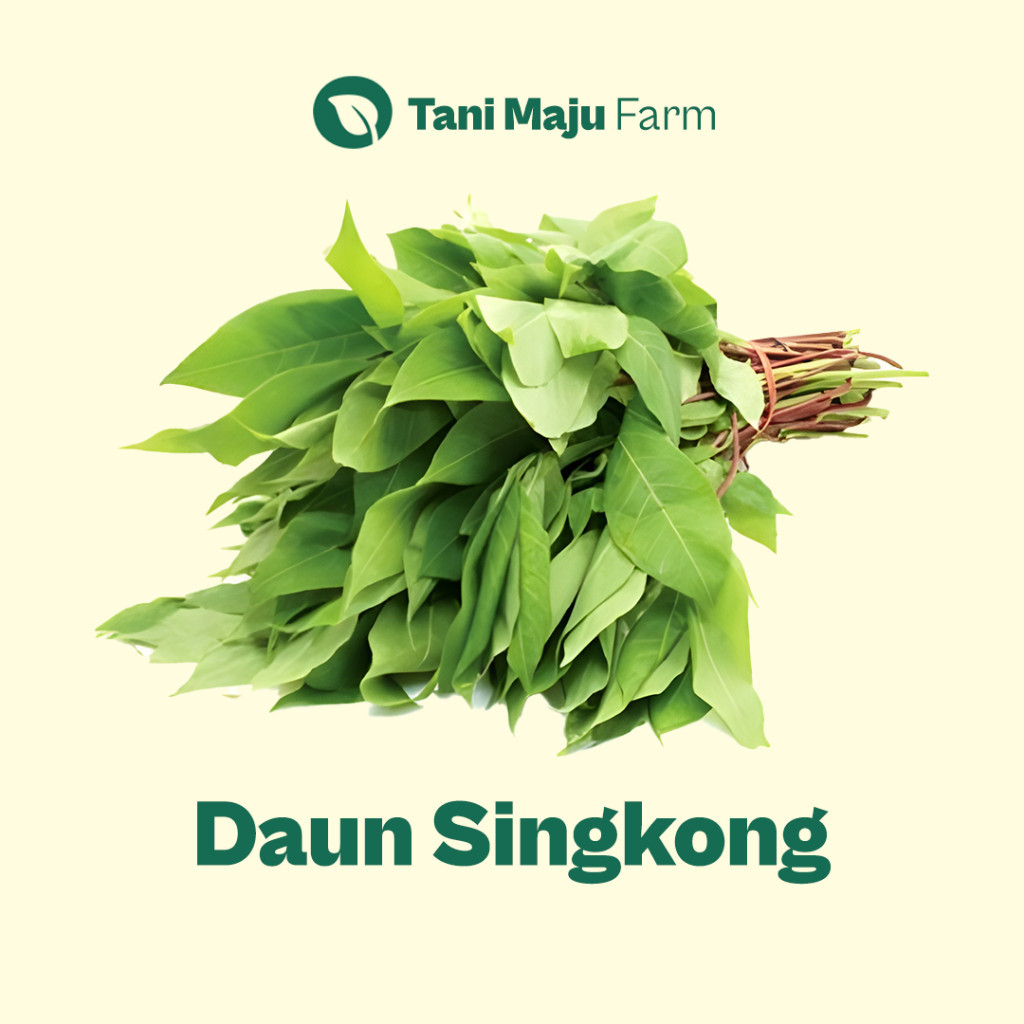 

Daun Singkong Cassava Leaves Fresh Organik (400 gram) - Sayuran