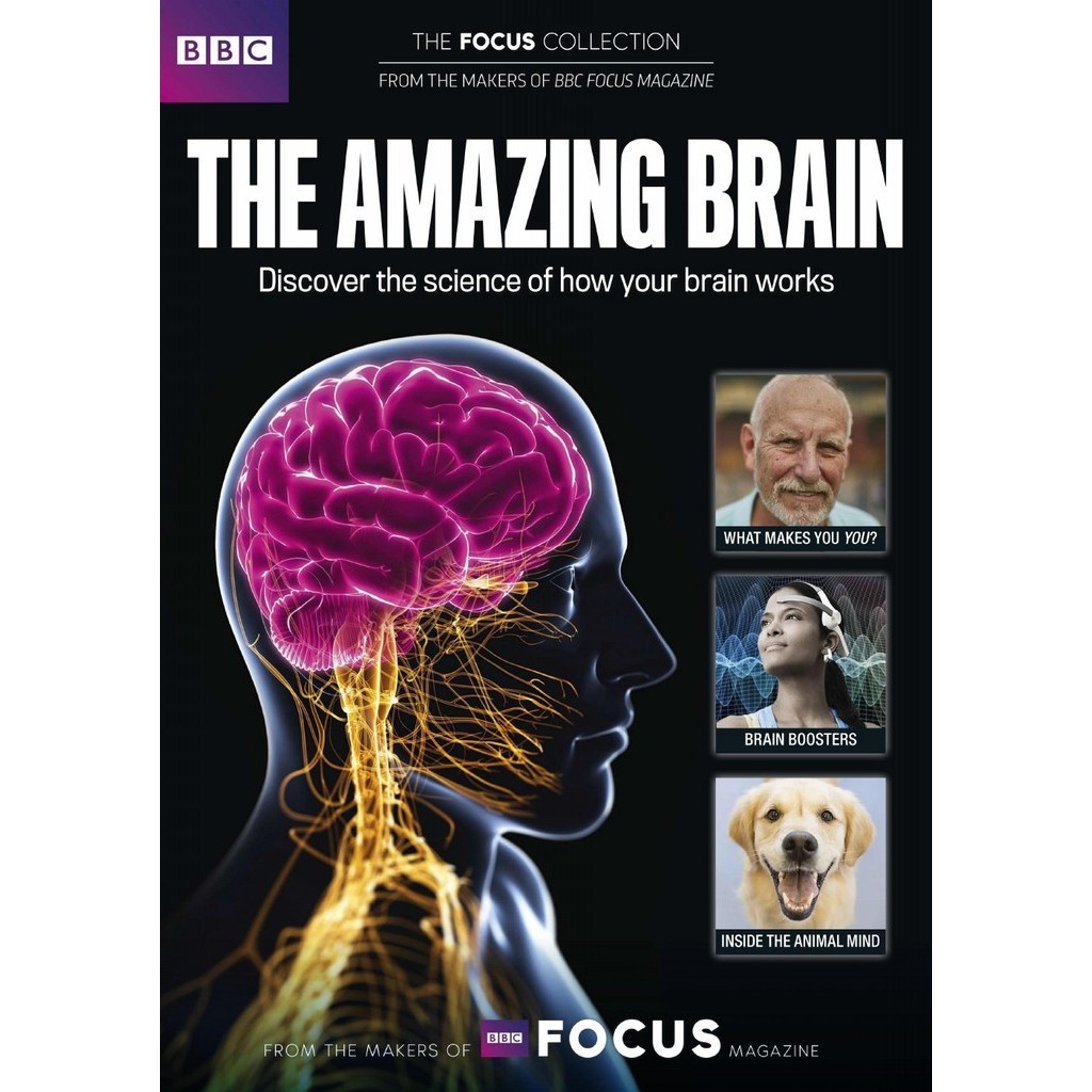 

The Amazing Brain ( D )