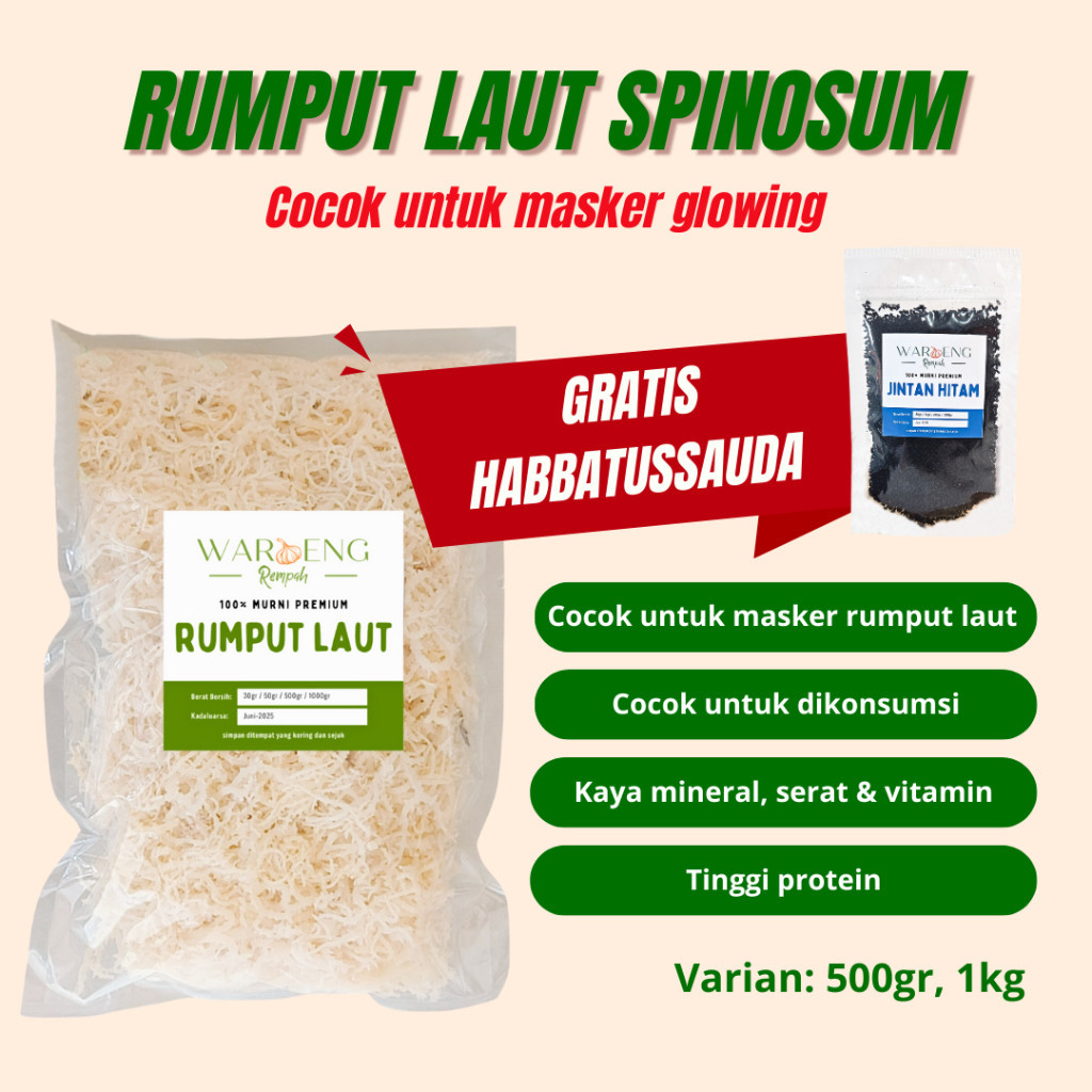 

Rumput Laut Kering Spinosum GRATIS HABBATUSSAUDA / Waroeng Rempah Murah