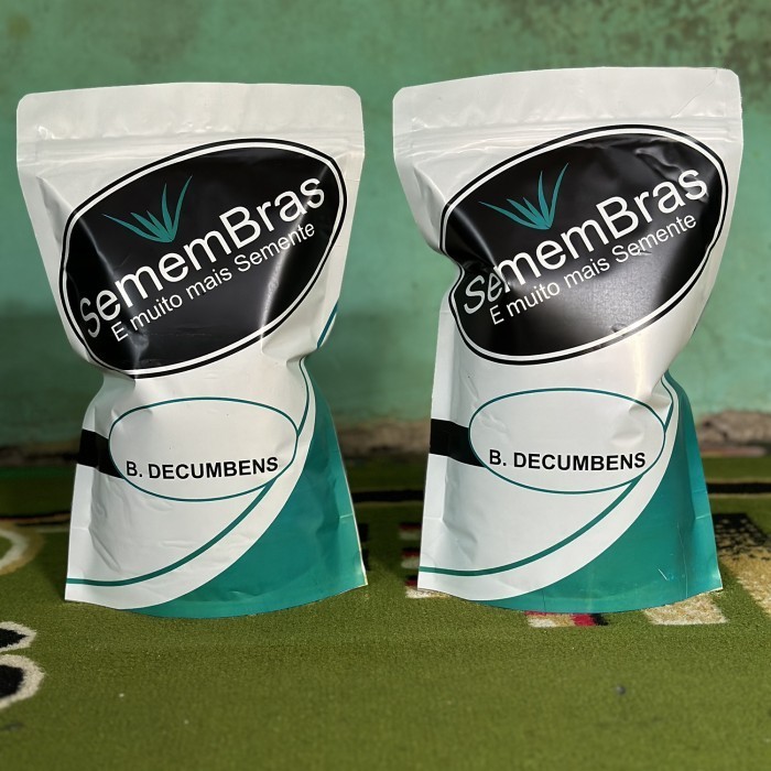 SALE BENIH RUMPUT PAKAN TERNAK - BIBIT BIJI RUMPUT PAKAN TERNAK SIGNAL