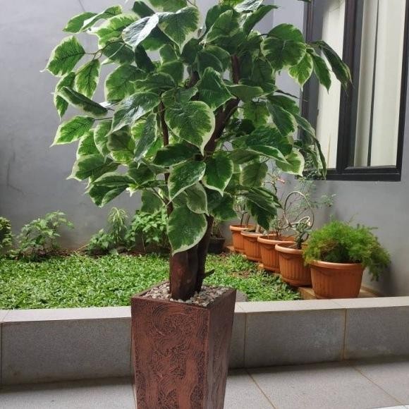 Pohon Sinfu Artificial Tanaman Pot Hias Plastik Besar Dekorasi Pojok
