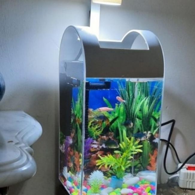 Aquarium Ni Akrilik Ikan Hias Ikan Kecil