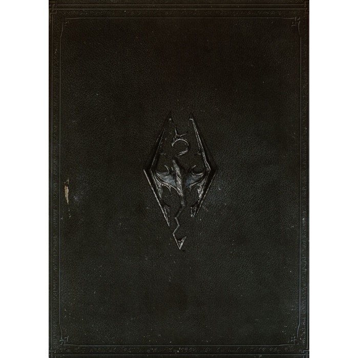 

The Art of Skyrim ( D )