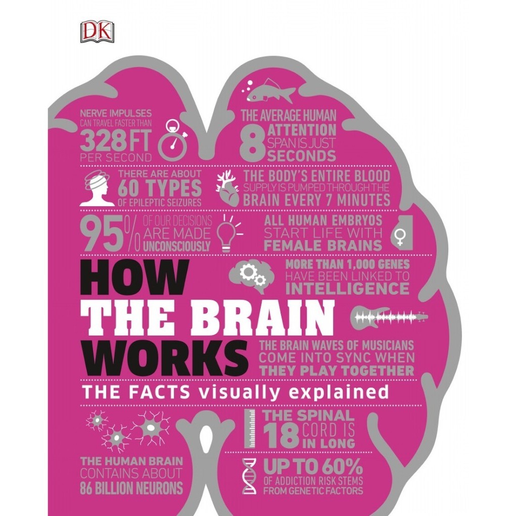 

How the Brain Works ( D )