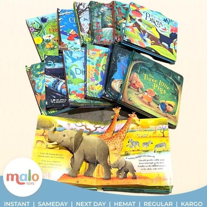USBORNE POP-UP 3D Buku Edukasi Pop Up Buku Cerita Anak Edukasi Anak
