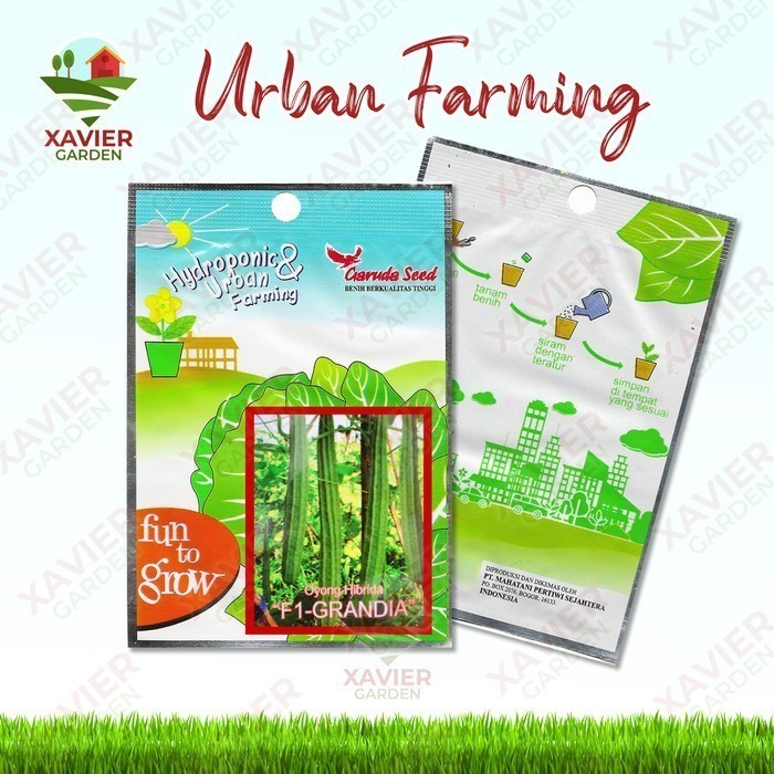 SALE BENIH BIBIT OYONG HIBRIDA "F1-GRANDIA" HOME GARDEN (GARUDA SEED)