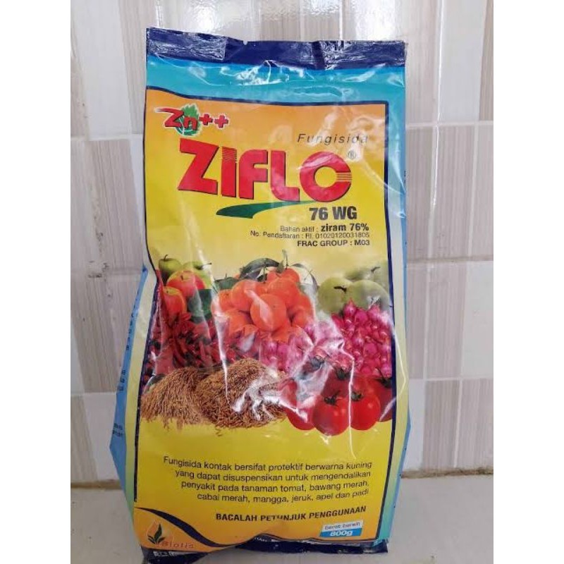 Fungisida ZIFLO Dapat mengendalikan Penyakit Pada tanaman JERUK, APEL, CABAI, TOMAT DLL