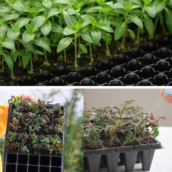 100Pcs Tray Semai / Tray Semai 200 Lubang / Tray Semai 128 Lubang