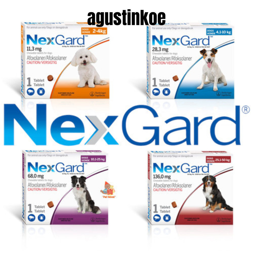 NEXGARD Obat Kutu Dan Demodex Anjing NexGard Chewable Tablets
