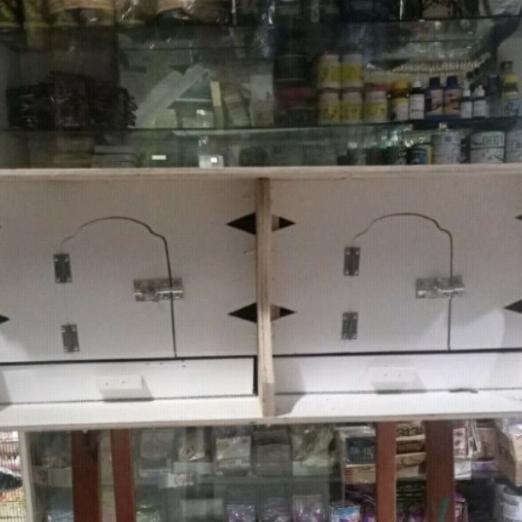 Kandang Burung Dara Gupon Dara