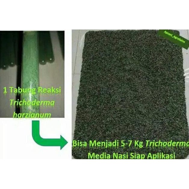 NEW Terlarissss Isolat Murni/Biang/Indukan Trichoderma Harzianum Media Pda