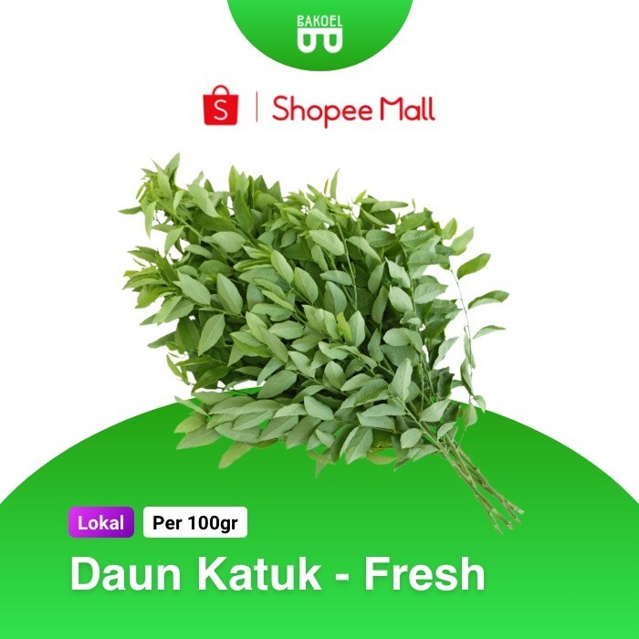 

Daun Katuk