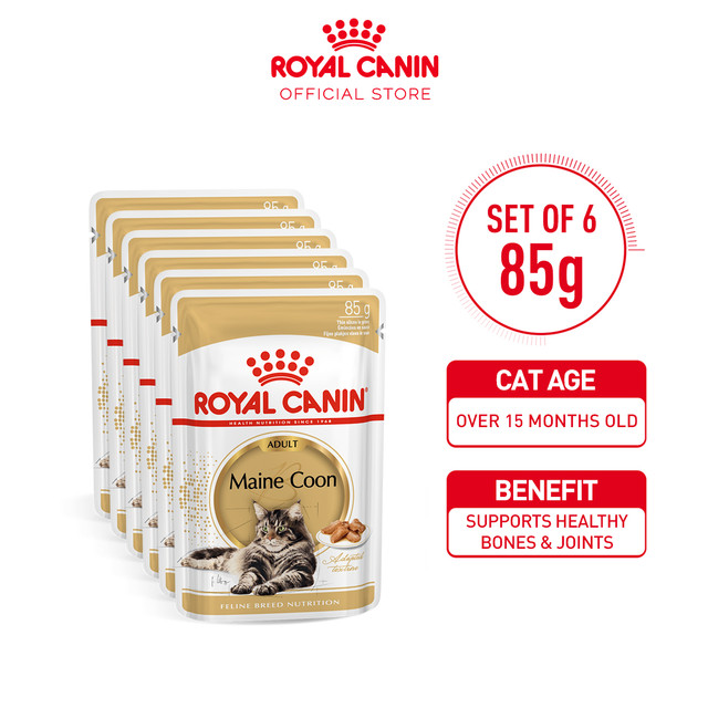 Royal Canin Maine Coon Adult (85g x 6 pouches) Wet Makanan Kucing Dewasa - Feline Breed Nutrition