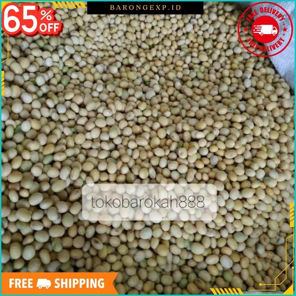 

5 Kg Kedelai Putih Kedelai Non Gmo Kedelai Lokal 5000 Gram 5 Kilogram(Bukan Import) Mpasi Susu Tempe Terlaris