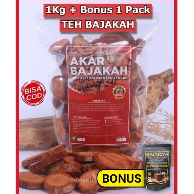 

Ex45 [TERLARIS] 1Kg Akar Kayu BAJAKAH TAMPALA MERAH Siap Seduh Obat Tumor dan Kanker (100% ORIGINAL) Asli Kalimantan - BONUS 1BUNGKUS Teh BAJAKAH Sale