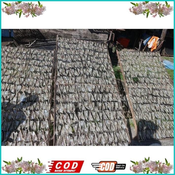 

BISMILLAH IKAN ASIN TIPIS TARAKAN 1KG TERMURAH ALISUP