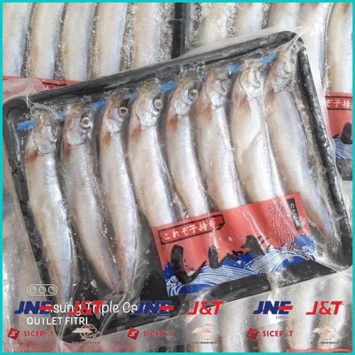 

BISMILLAH IKAN SHISAMO FULL TELUR (FEMALE) - IKAN CIPUNG - IKAN CAPELIN ALISUP