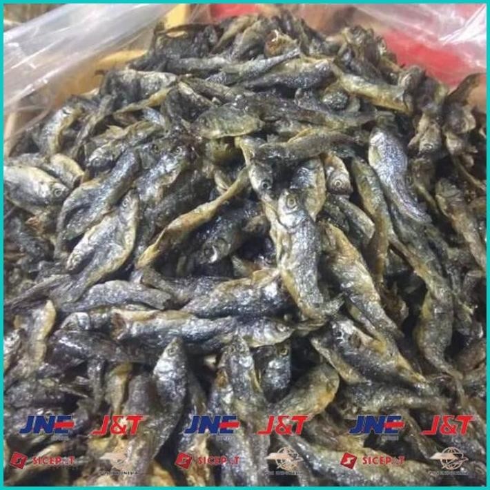 

BISMILLAH IKAN BILIH IKAN DANAU BILI TAWAR 250GR ALISUP