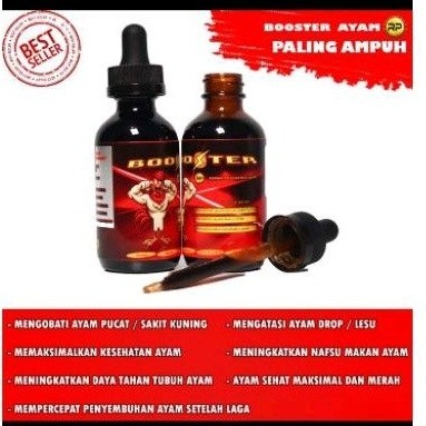 BOOSTER MULTIVITAMIN JAMU HERBAL AYAM TARUNG BANGKOK
