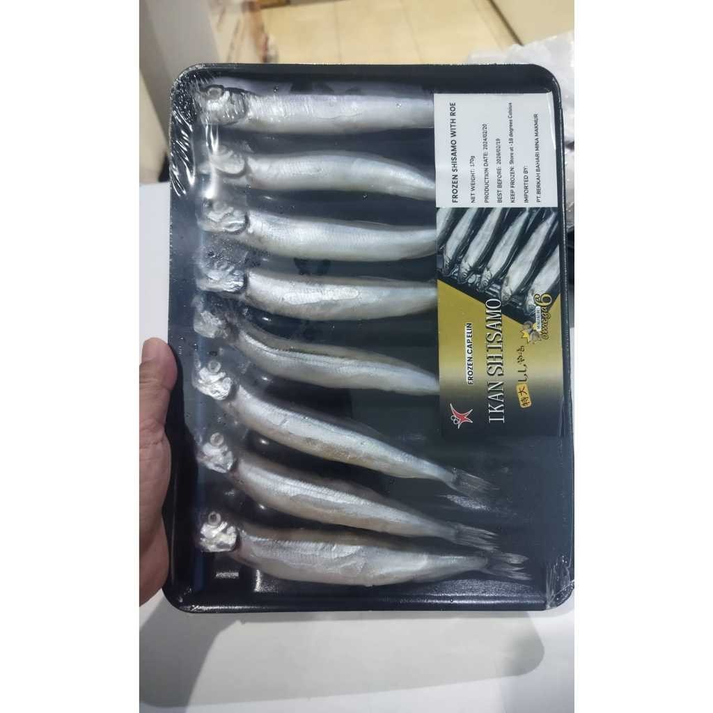 Ikan shisamo / ikan cipung