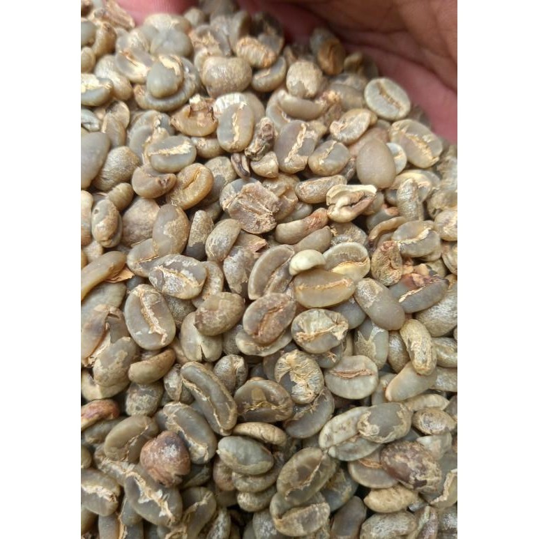 

Kopi Biji/Gree Bean Commercial Arabika Toraja G2 1 Kg