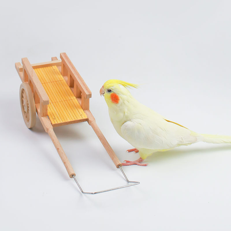 Parrot Toys Pulling Car Training Bird Supplies Peony Xuanfeng Little Sun Training Educational Toys