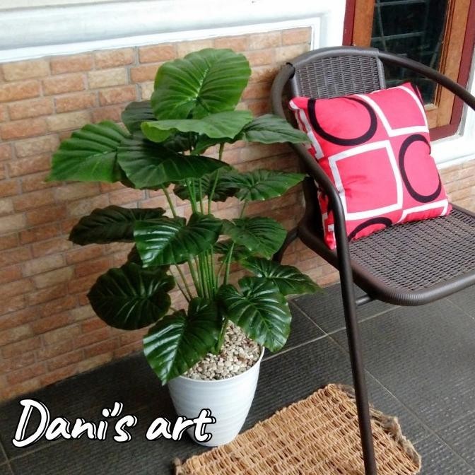 keladi jumbo palsu/ tanaman plastik/ keladi hias/ Tanaman artificial