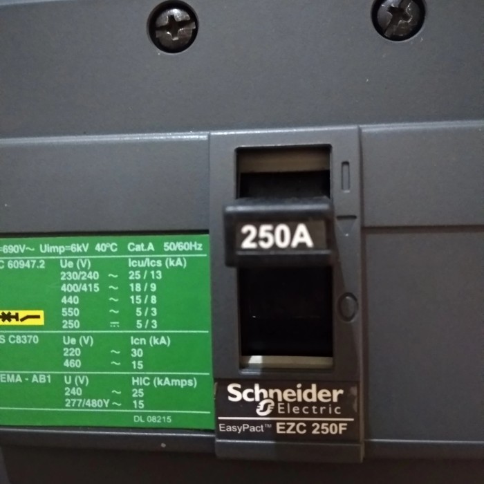 Mccb Ezc250F 3P 250A,200A Schneider Merlin Gerin Ori