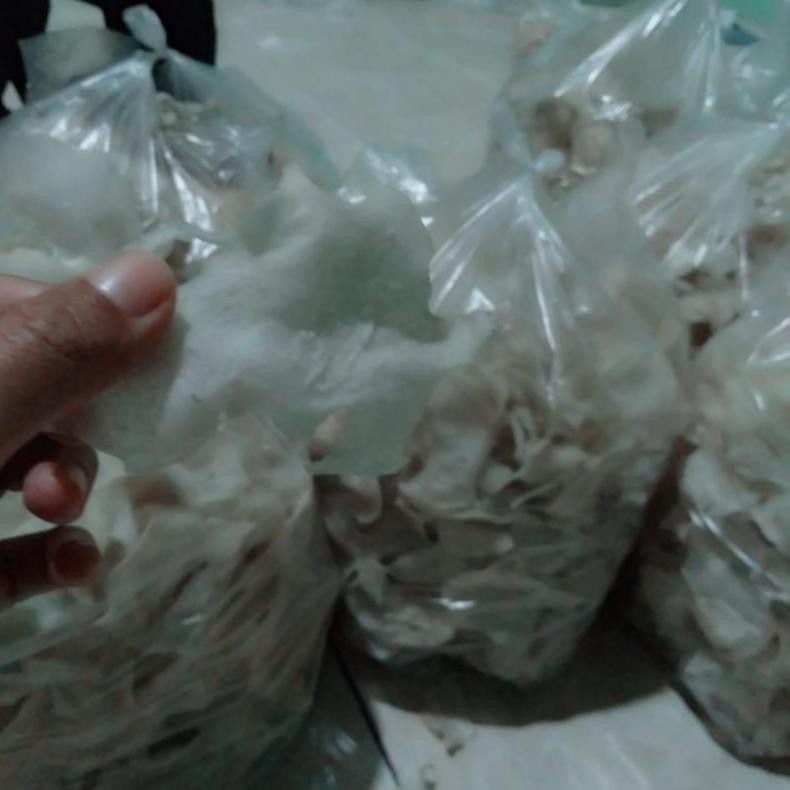 

NLD-1419 Keripik Gadung Mentah 1Kg | Kerupuk Gadung Tipis Super Renyah Premium