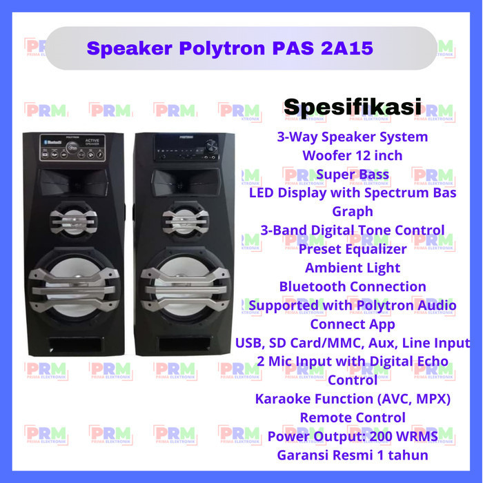 Speaker Polytron PAS 2A15