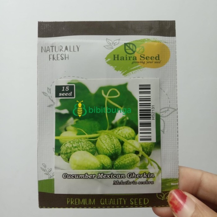 ,,,,,,,] Benih Bibit Timun Mentimun Mexican Gherkin 15 Biji Cucumber Seed Haira