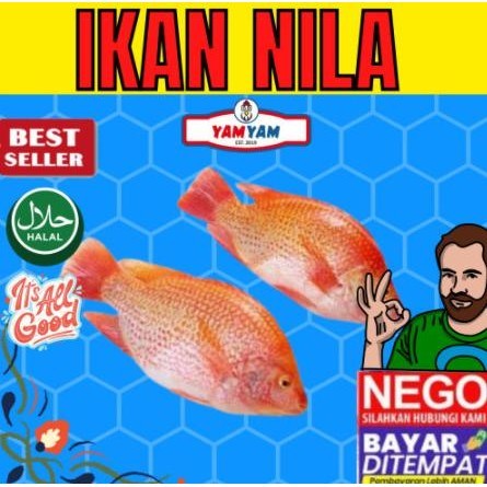 

Ikan Nila Merah 500gr 500 gram Segar Seger Food Froozen frozeen Agen