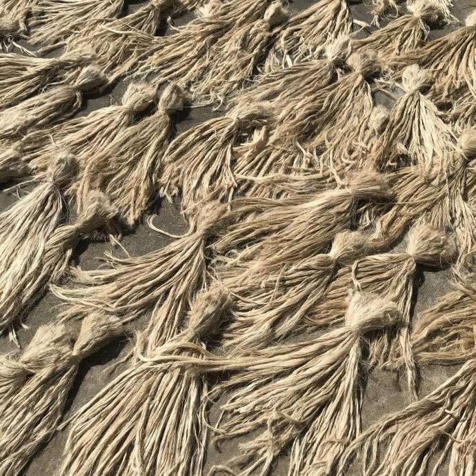 100%Berkualitas Serat Sisal / Serat Sisalana Agave / Serat Nanas Warna