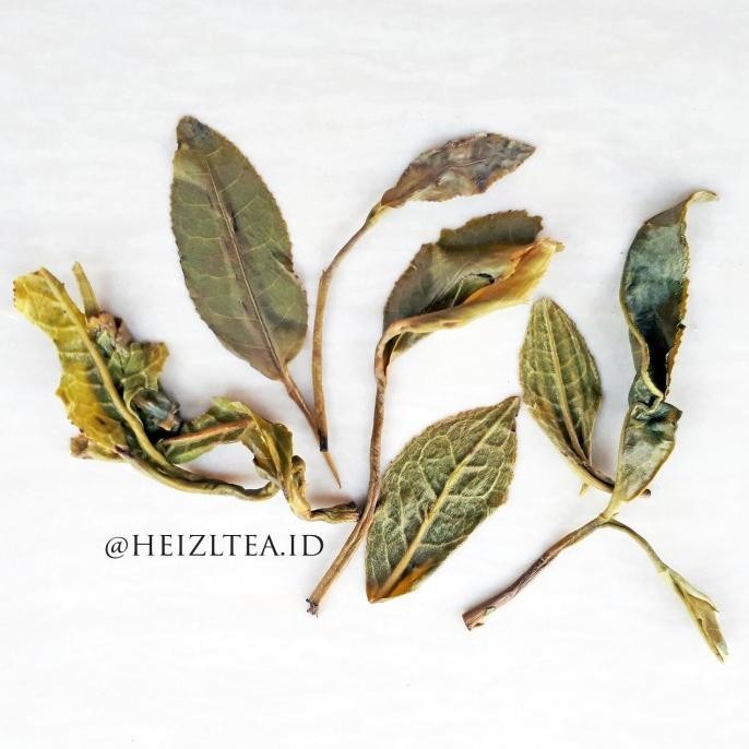 

HEIZL Jasmine Pearl Tea (Teh Hijau Aroma Bunga Jasmine/Melati) 60gr LA