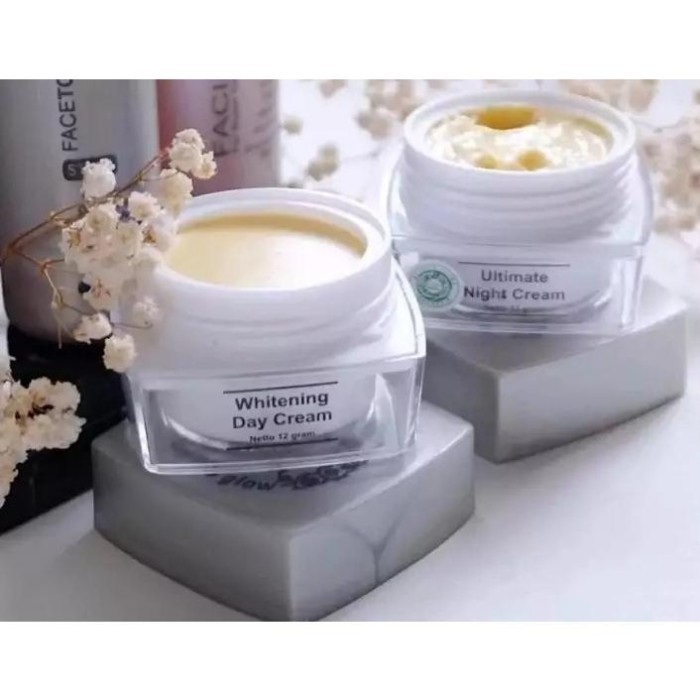 PAKET FLEK SIANG MALAM MS GLOW Cream Siang dan Cream malam Flek -