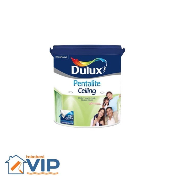 DULUX PENTALITE CEILING PAIL