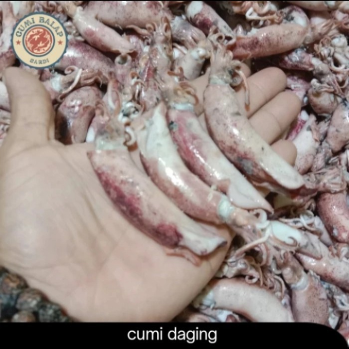 

cumi sotong asin sedang berkowalitas.500gr A9