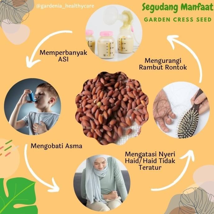 

F_Ag Garden Cress Seed - Biji Selasih Merah - Obat Sakit Lutut & Diabetes BS01