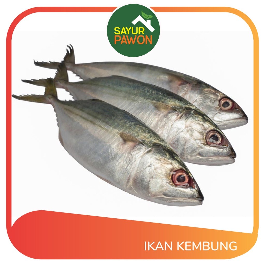 

IKAN KEMBUNG Per 500 gram
