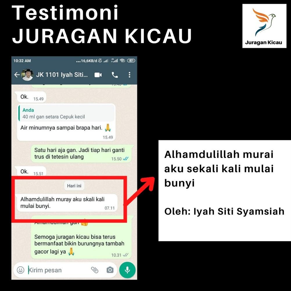 VIRAL Juragan Kicau - Doping Obat Vitamin Burung Gacor Lomba Lovebird Ngekek Panjang Konslet Fighter