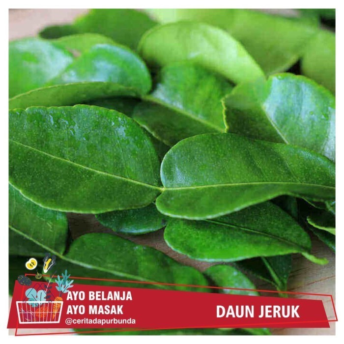 

DAUN JERUK SEGAR per bungkus