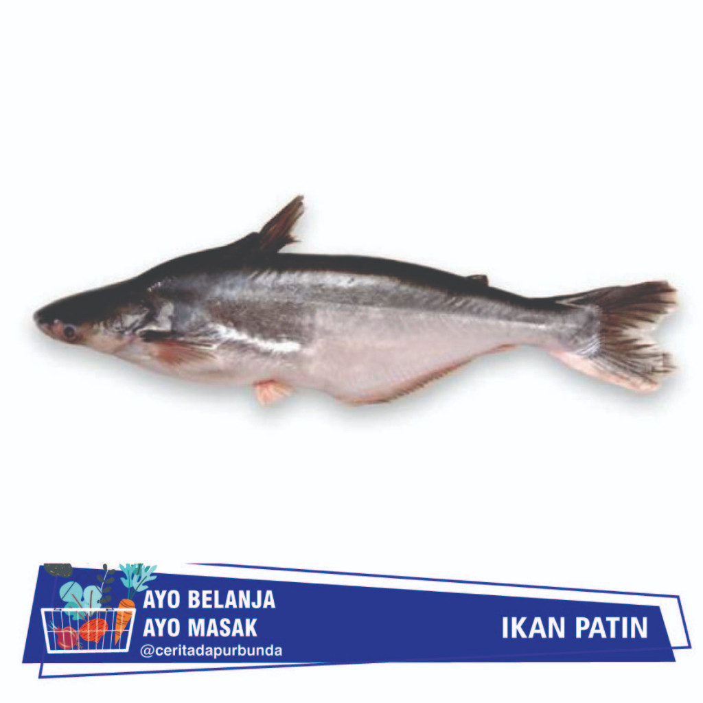 

IKAN PATIN SEGAR Per 500 gram