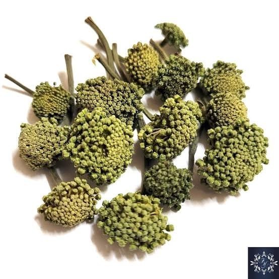 

500 GR GRAM SAN TIAN QI HUA TEH BUNGA NOTO GINSENG FLOWER TEA