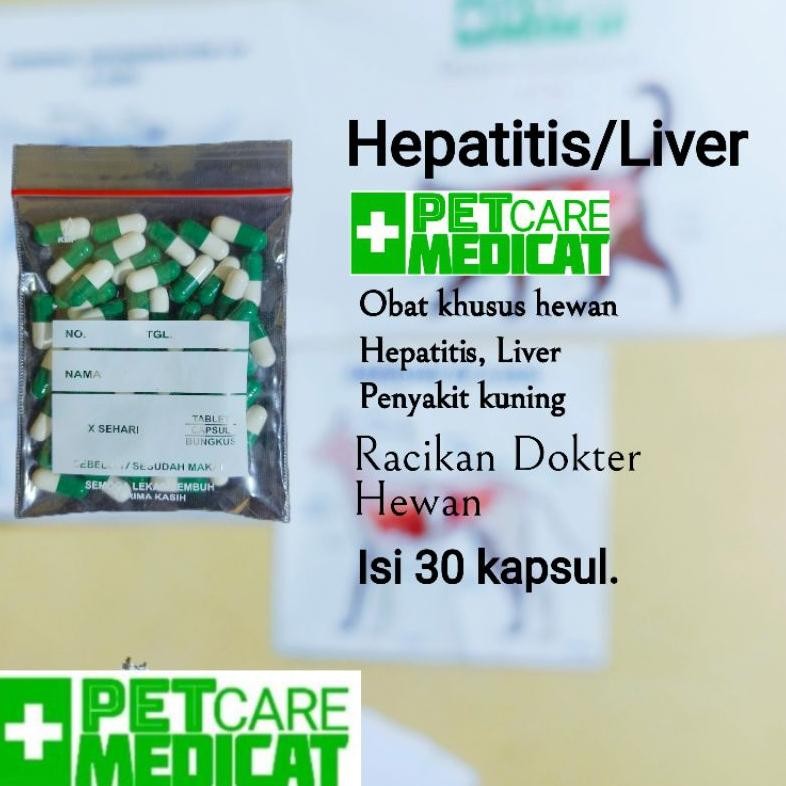 Cuci Gudang Obat Hepatitis Liver Penyakit Kuning Kucing Dan Anjing Obat Hewan Hepatitis Obat Liver K