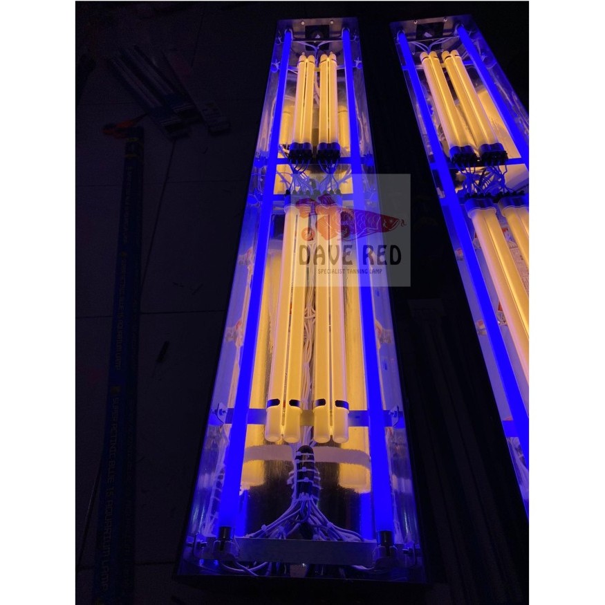 4 Pll 2 Aquazonic Lampu Tanning Ikan Arwana Super Red Cahaya Matahari