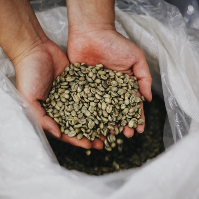 

Luwak Liar Aceh Gayo (250Gr) - Single Origins - Mardika Coffee