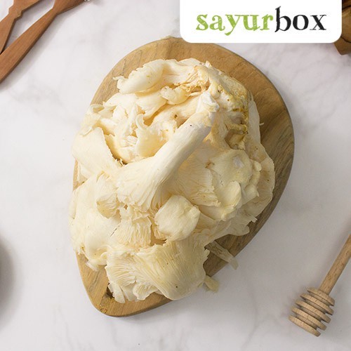 

Jamur Tiram Konvensional 300 gram Sayurbox