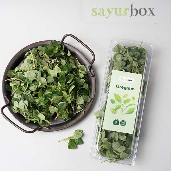 

Fresh Oregano Premium 35 gram Sayurbox