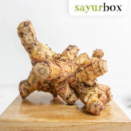 

Lengkuas Organik Organik 200 gram Sayurbox