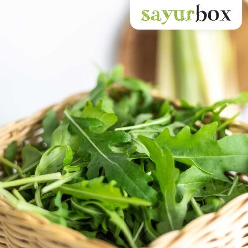

Arugula Hidroponik 100 gram Sayurbox